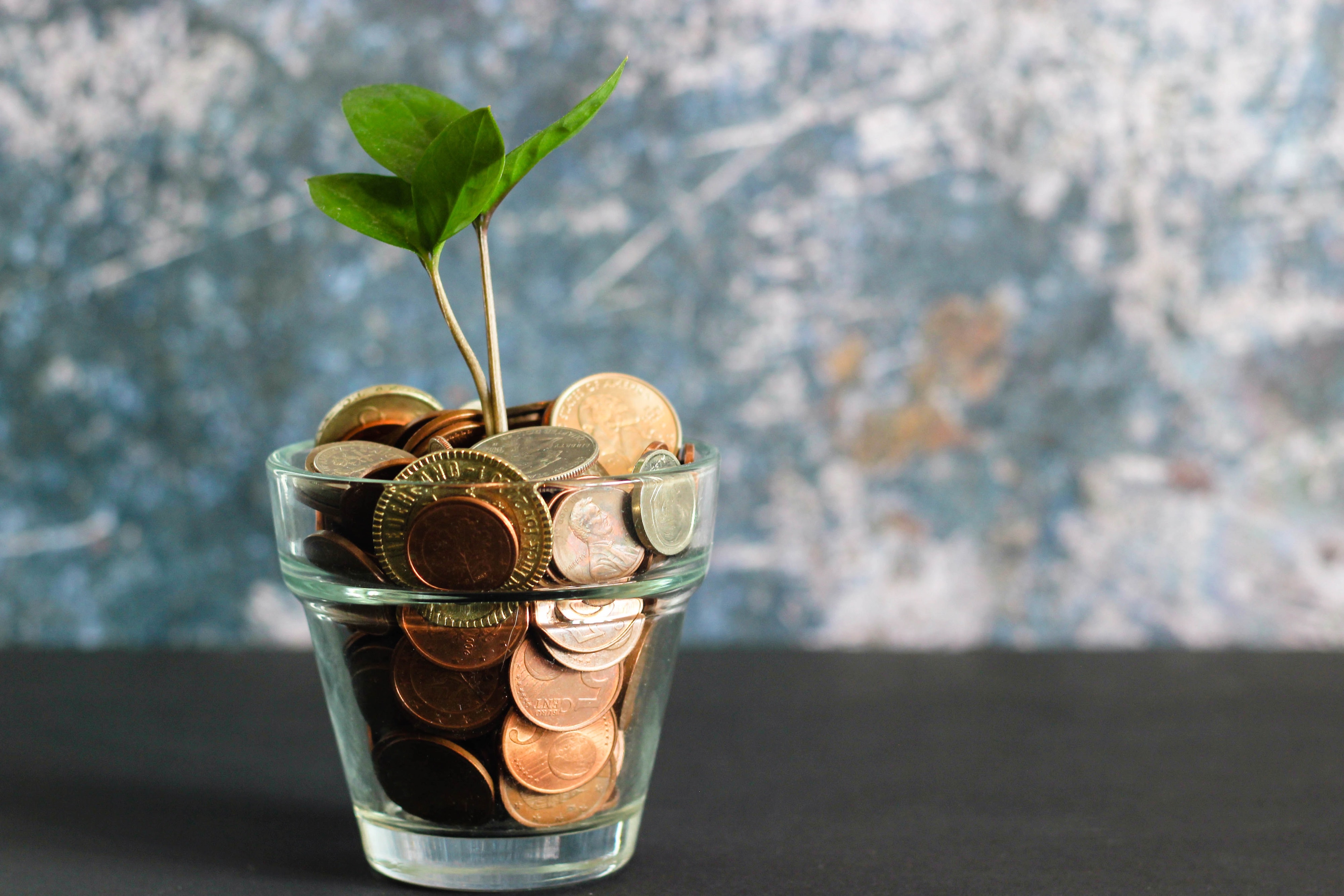 Jar of money with a plant. Image via Unsplash.